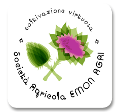 logo emonagri